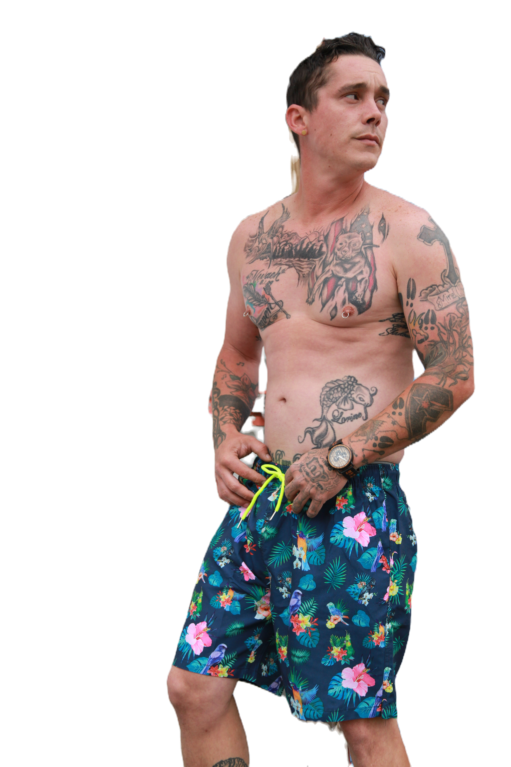 The Aloha image 1