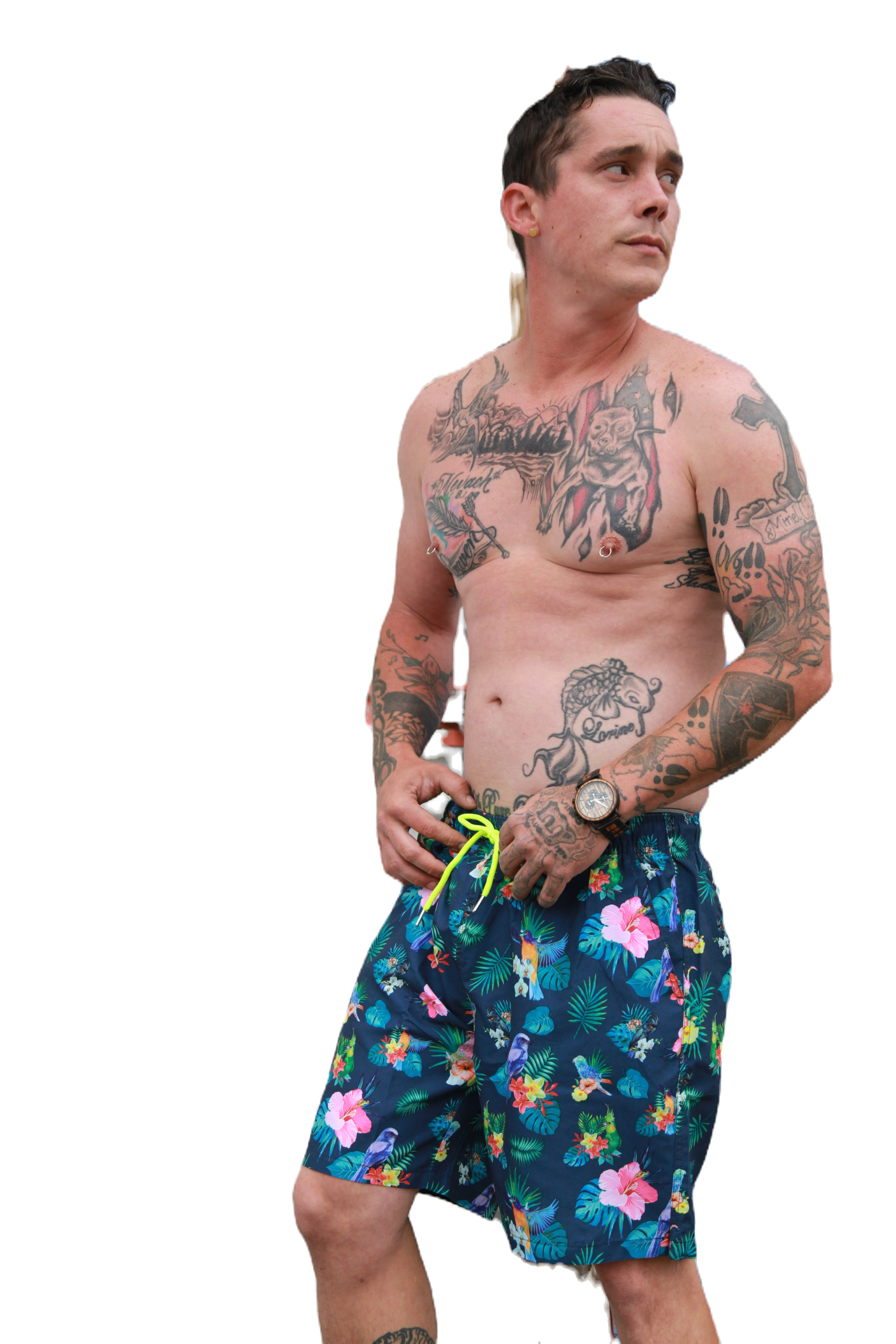 The Aloha image 1